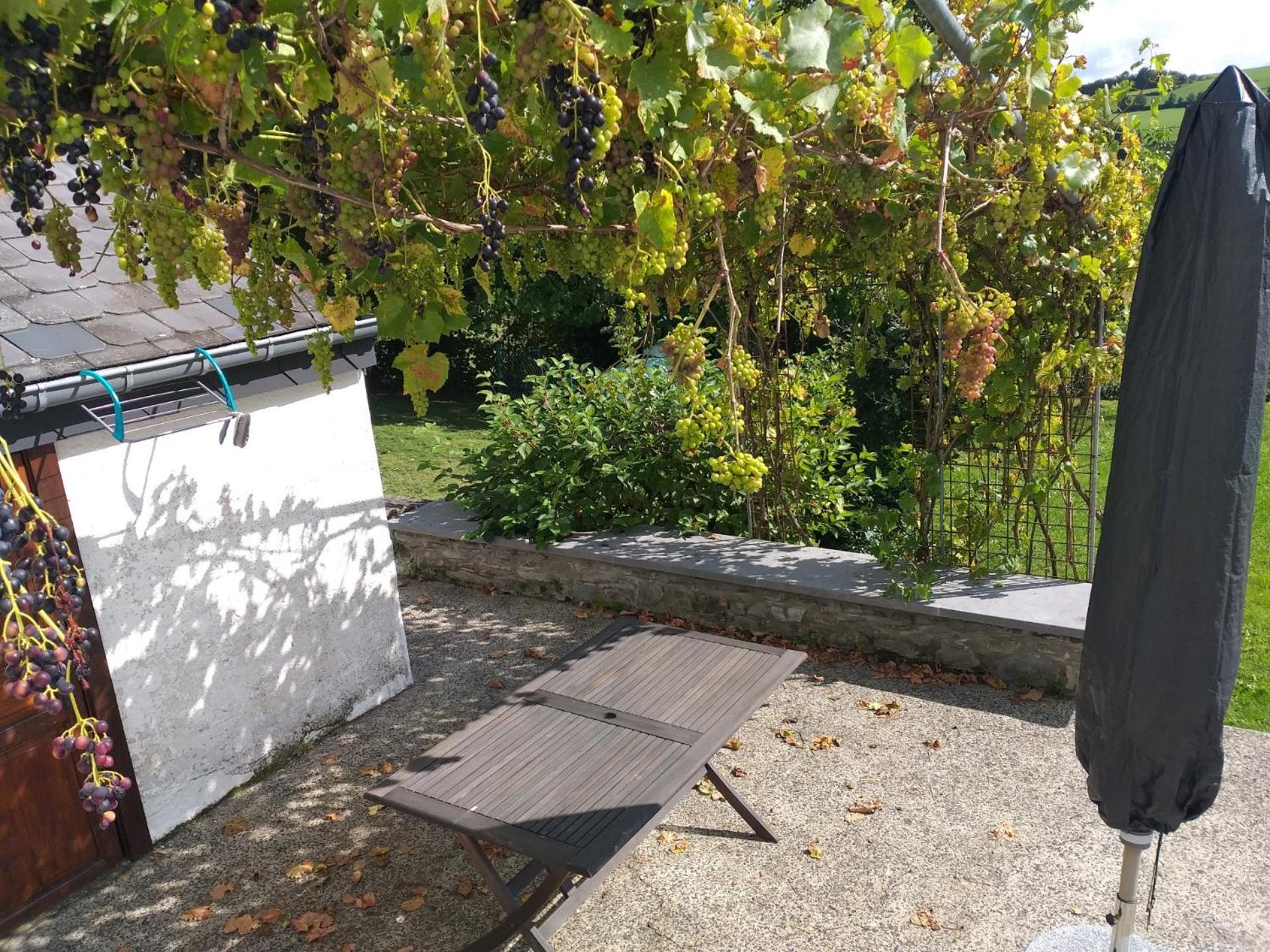 Gite L'Ecole De Ma Mere Villa Bertogne Bagian luar foto
